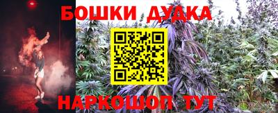 индика Ипатово