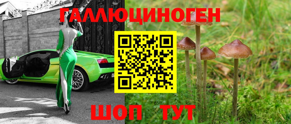 купить   Галлюциногенные грибы GOLDEN TEACHER  Мариинск  Вход с VPN  Галлюциногенные грибы мицелий 