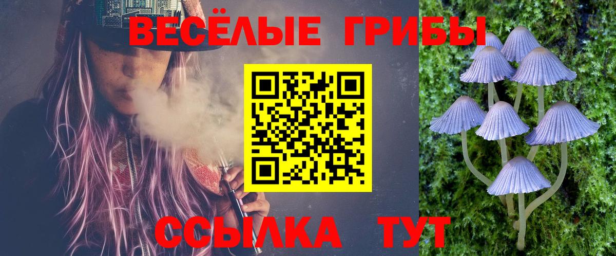 Псилоцибиновые грибы Cubensis Мариинск